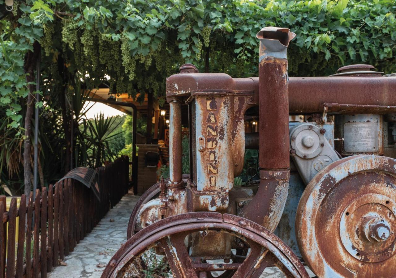Il Sorgituro - Agriturismo Postiglione エクステリア 写真