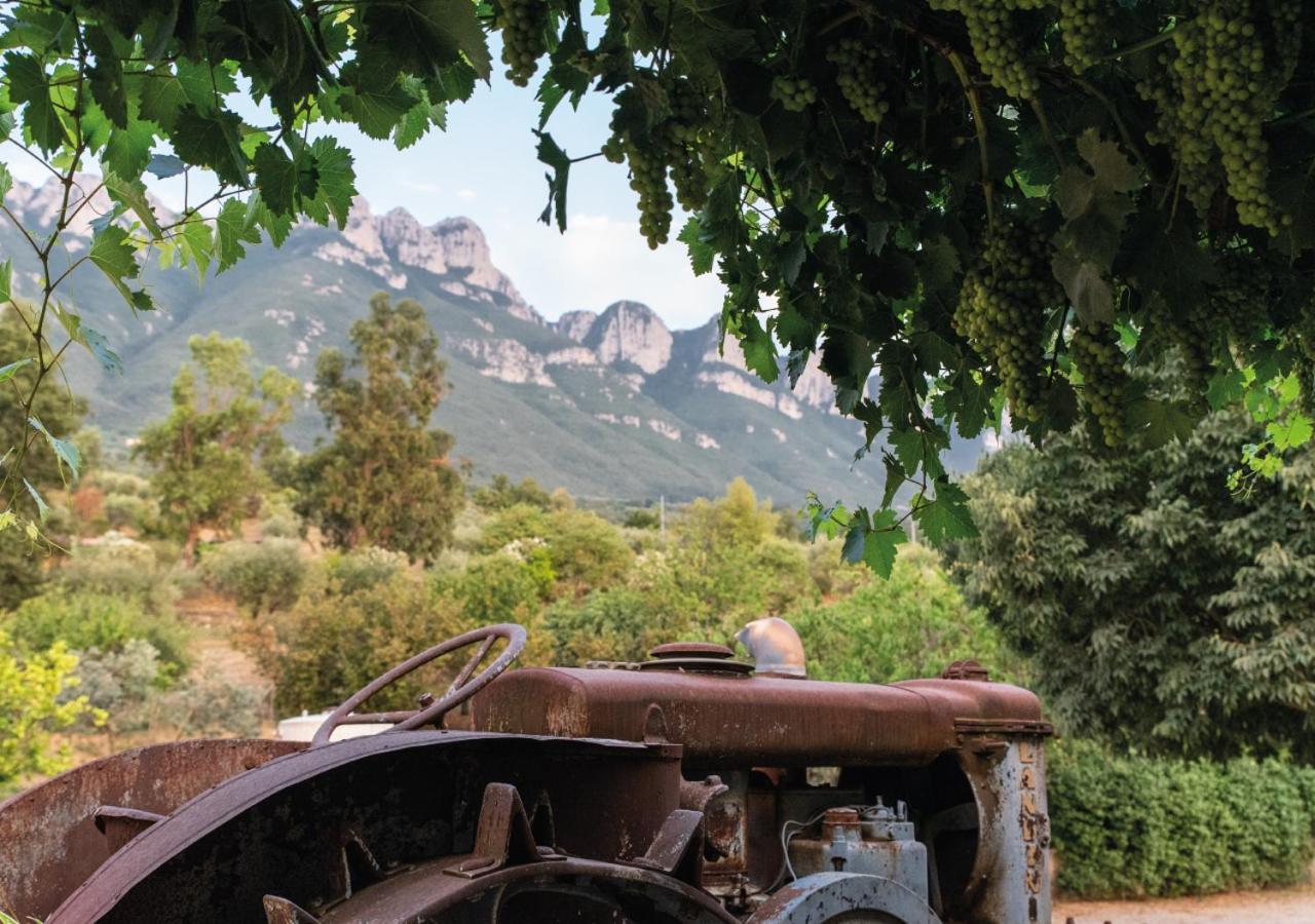 Il Sorgituro - Agriturismo Postiglione エクステリア 写真