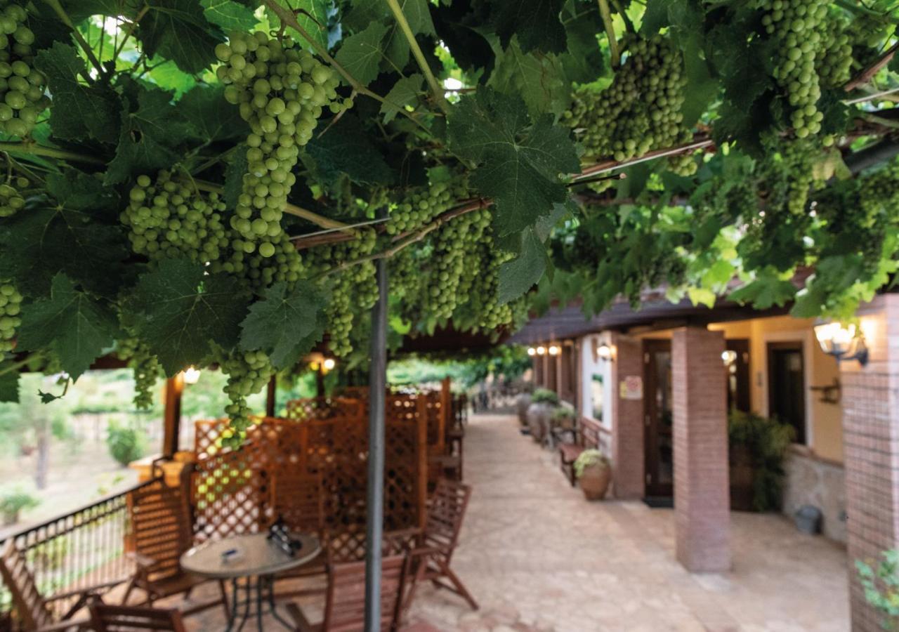 Il Sorgituro - Agriturismo Postiglione エクステリア 写真
