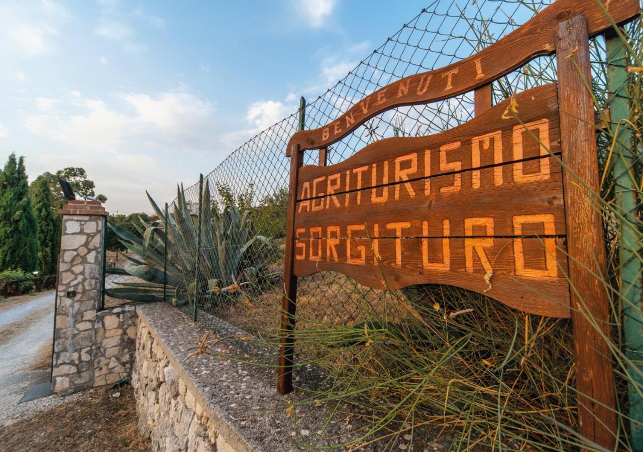 Il Sorgituro - Agriturismo Postiglione エクステリア 写真